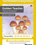 Ampoule de spores- Golden Teacher